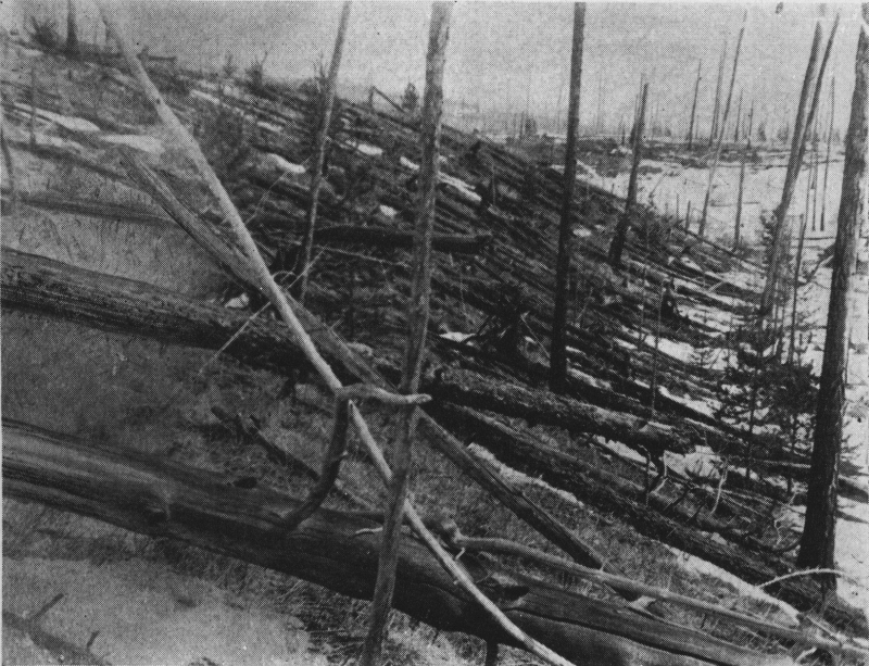 30. Juni 1908: In Sibirien in der Nähe des Flusses Tunguska verwüstet (vermutlich) ein im
                                Wesentlichen aus Eis und Staub bestehender Meteorit den Wald in einer Umgebung von 30 Kilometern. Auf
                                dem Bild gut zu erkennen sind die entwurzelten und umgeknickten Bäume.